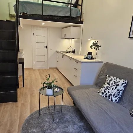 Apartment Loft In Freda Kaunas