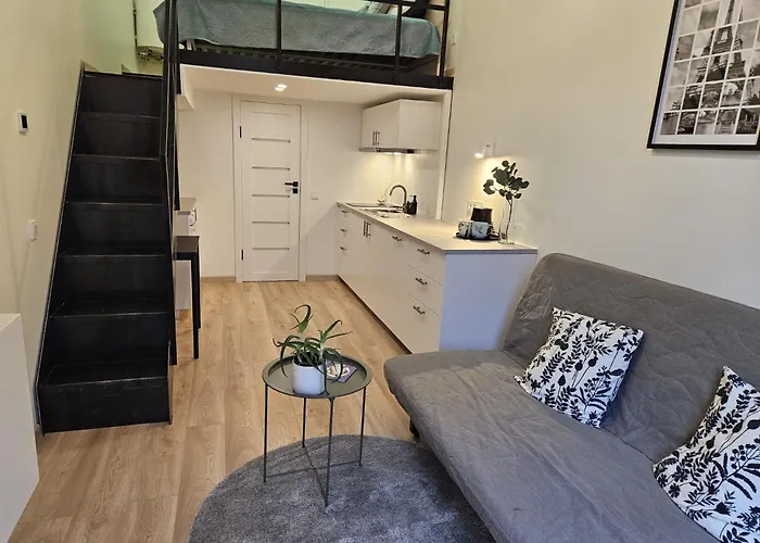 Appartement Loft In Freda Kaunas